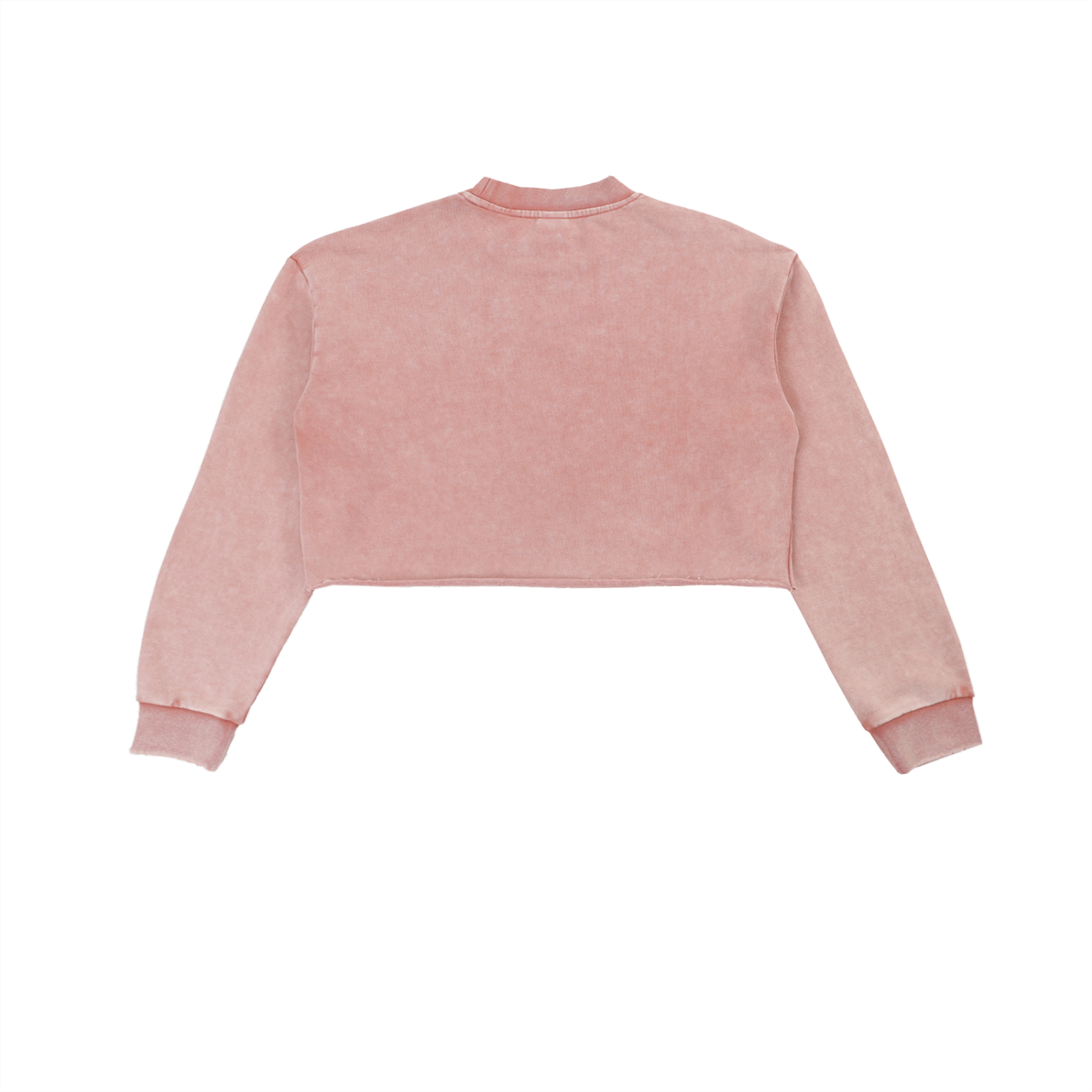 Luzinski Signature Washed Raw Sweatshirt